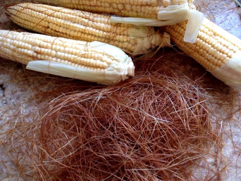 Cabelo-de-milho ou Estigmas