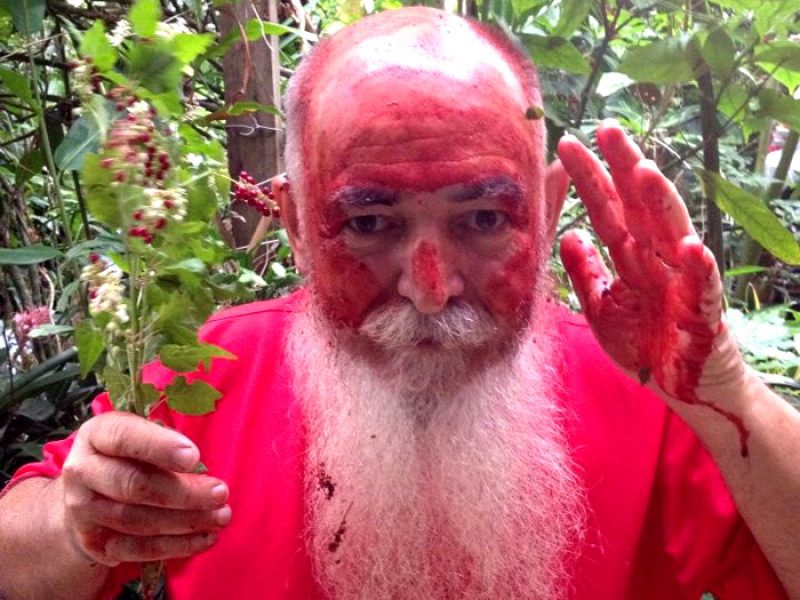 Mercúrio, Sangue-de-boi ou Coralitos