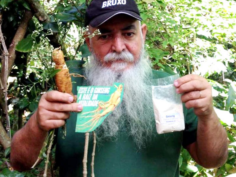 Ginseng brasileiro, Phafia, Pfáfia, Viagra-de-pobre, Para-tudo