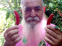 Pimenta Cayena
