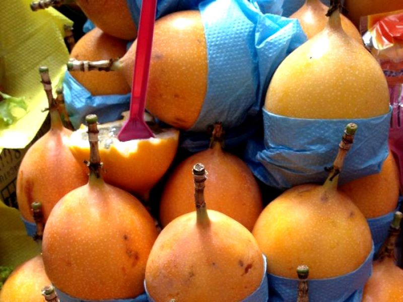 Granadilha ou Puru-puru