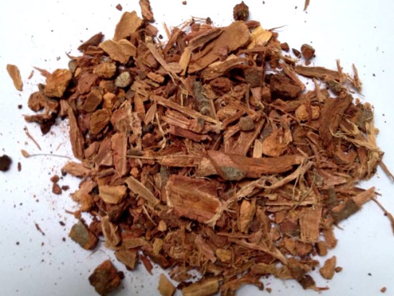 Barbatimão, Ibatimó ou Casca-da-virgindade