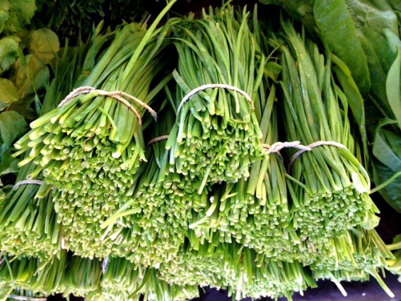 Alho-nirá ou Cebolinha-chinesa