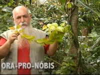 Exemplo de educação ambiental