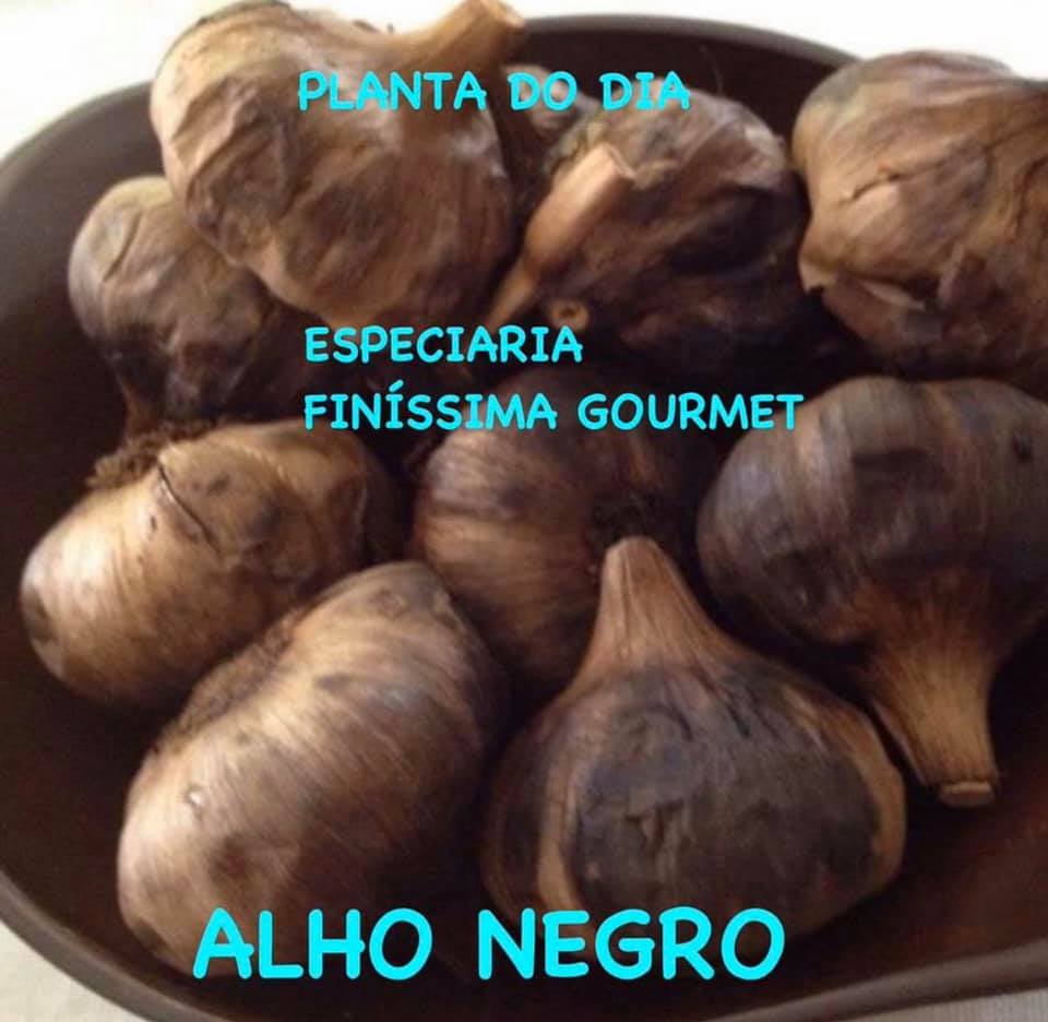 Você está visualizando atualmente Alho negro