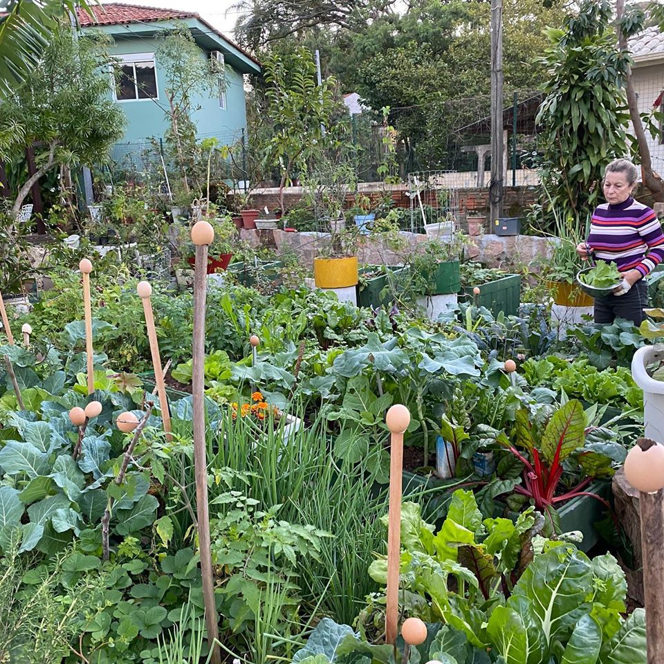 Você está visualizando atualmente Meu mini jardim botânico