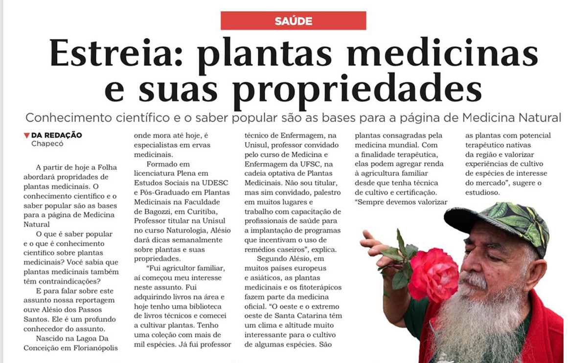No momento, você está visualizando Plantas medicinais e suas propriedades- Folha Desbravador