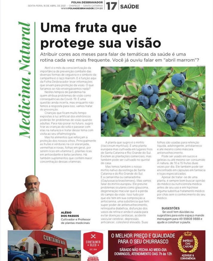 No momento, você está visualizando Mirtilo