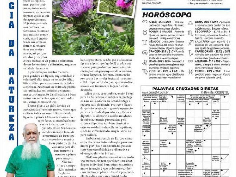 Cardo mariano Jornal Novoeste