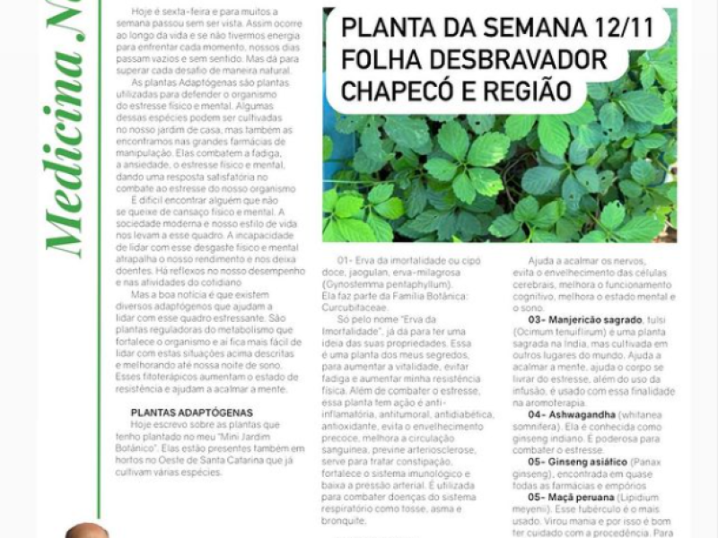Plantas adaptógenas