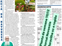 Plantas de uso popular como anticancerígena, ter uma alimentação alcalina