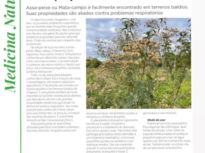 Assa-peixe, Mata-campo