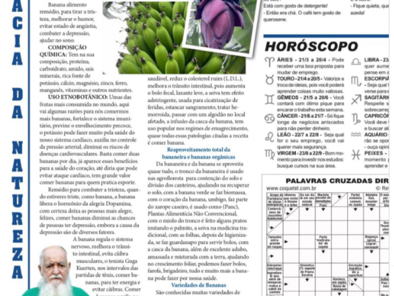 Banana e seus benefícios