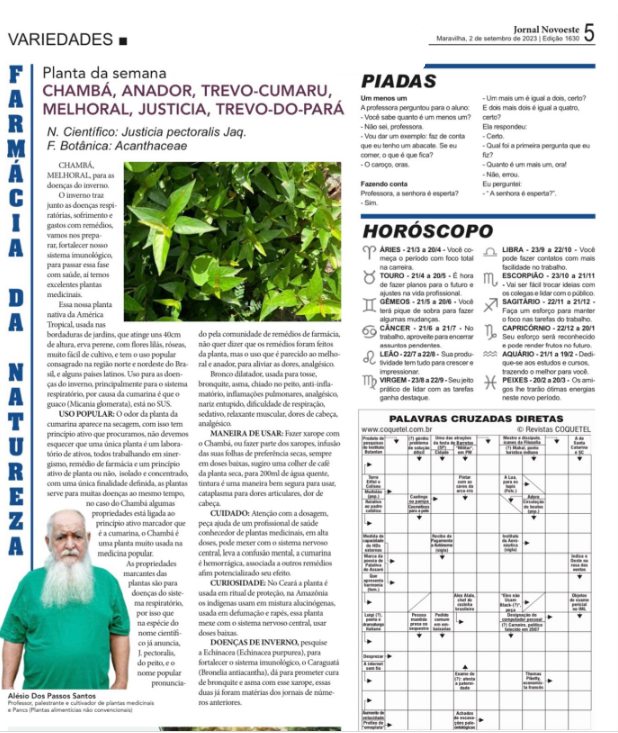 Você está visualizando atualmente Chambá, Anador, Trevo-Cumaru, Melhoral, Justicia, Trevo-do-Pará