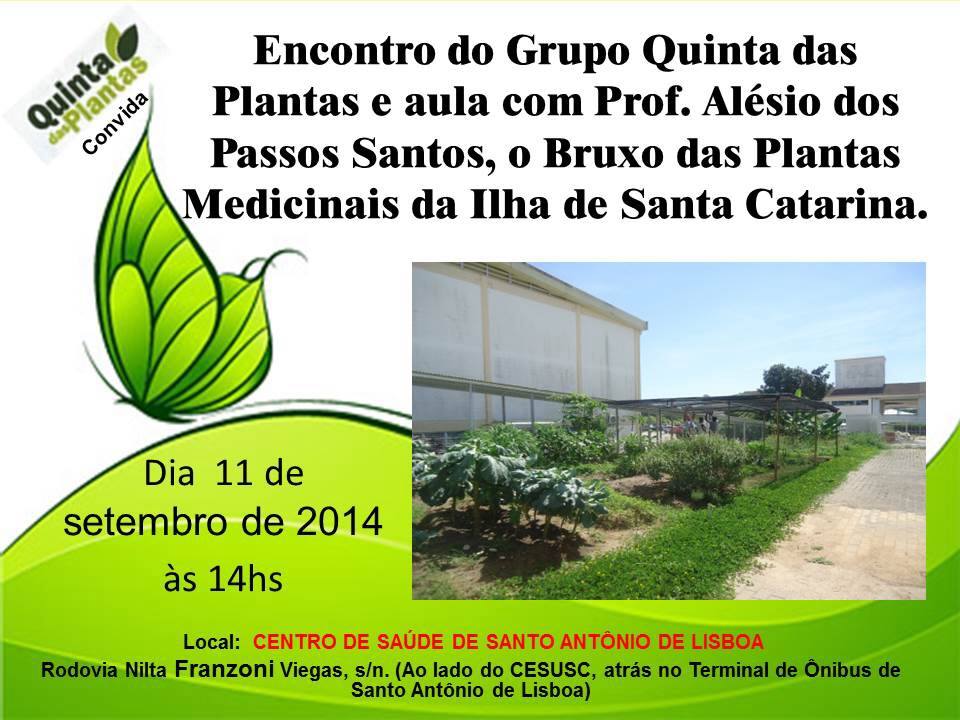 Você está visualizando atualmente Encontro com o bruxo das plantas medicinais em Florianópolis