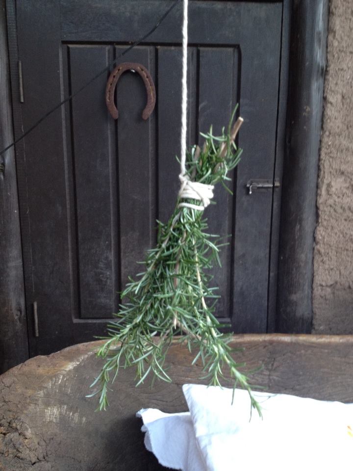 No momento, você está visualizando Oficina sobre ervas aromáticas na culinária
