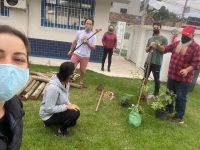 Farmácia Viva: Remédios de Deus