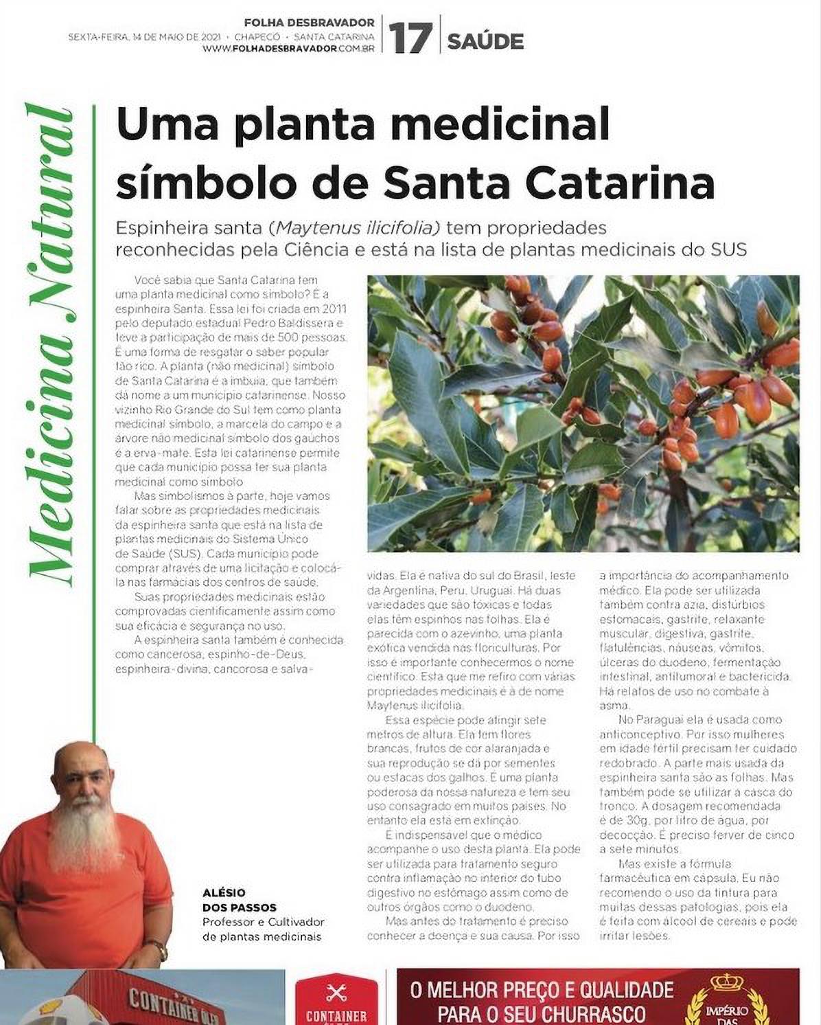 No momento, você está visualizando Espinheira Santa