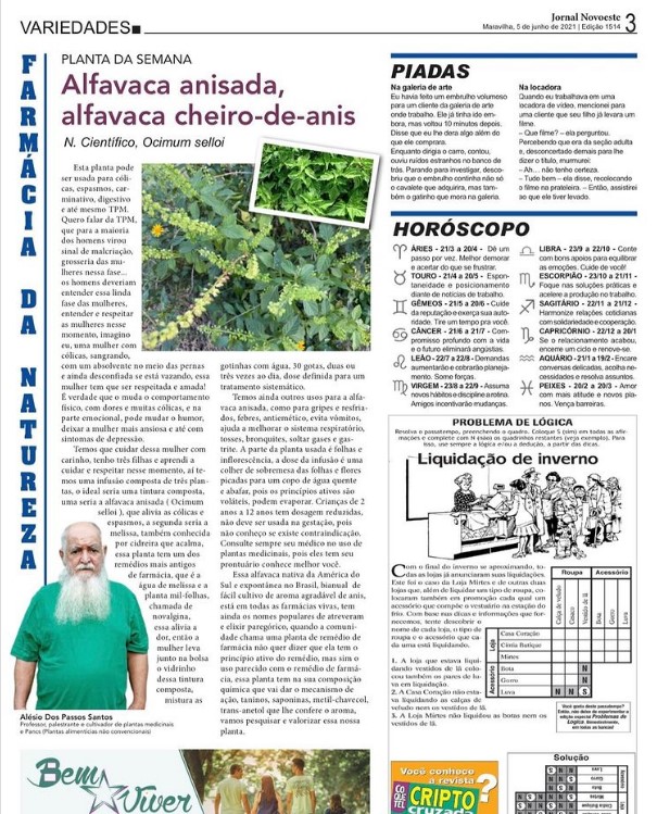 Você está visualizando atualmente Alfavaca anisada
