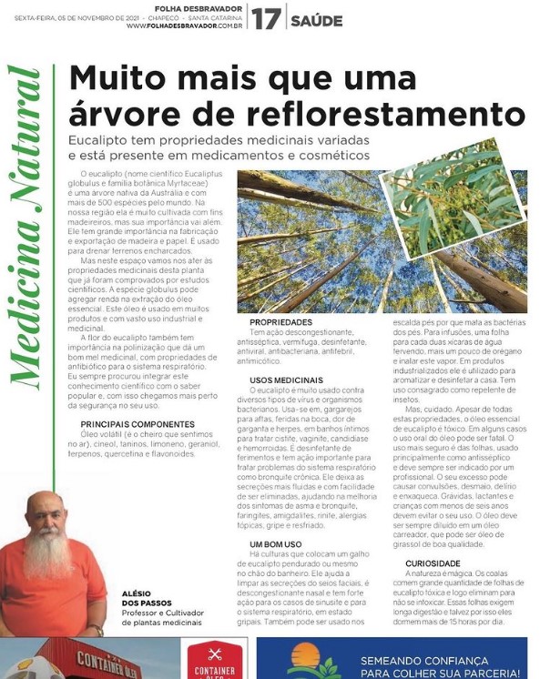 Você está visualizando atualmente Eucalipto