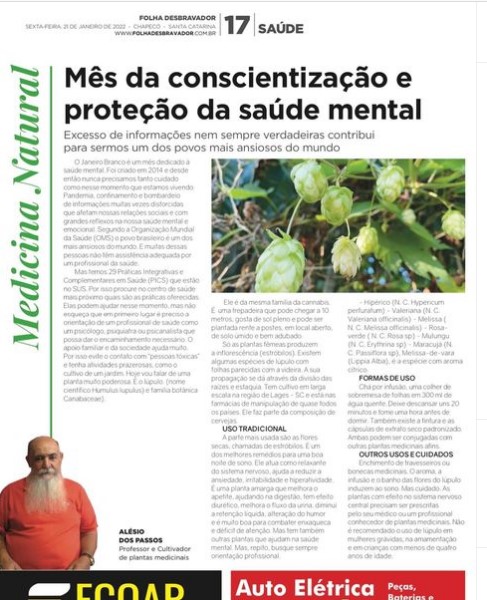 No momento, você está visualizando Lúpulo