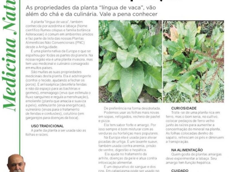 Língua de vaca