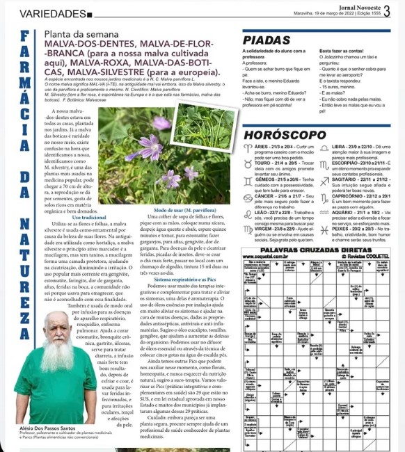 Você está visualizando atualmente Malva-dos-Dentes
