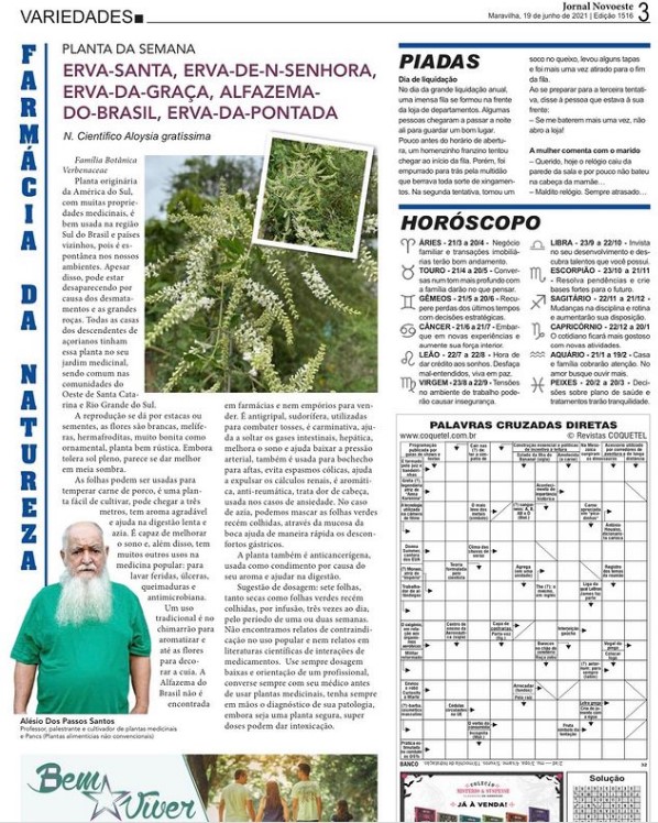 Você está visualizando atualmente Erva-santa