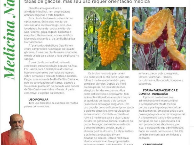 Melão amargo