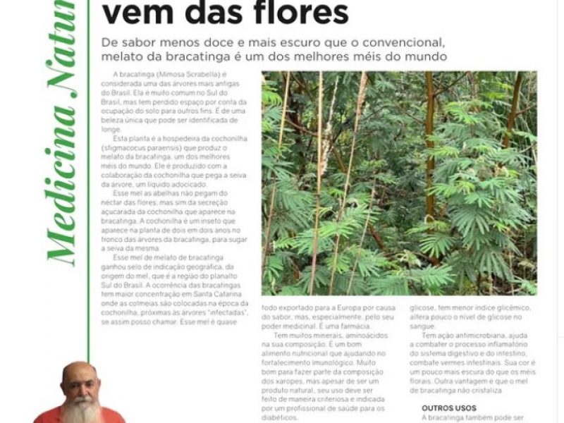 Melato de Bracatinga