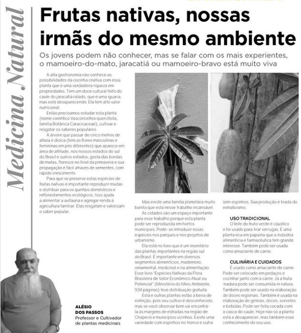 No momento, você está visualizando Jaracatia