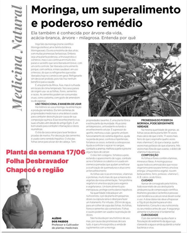 Você está visualizando atualmente Moringa