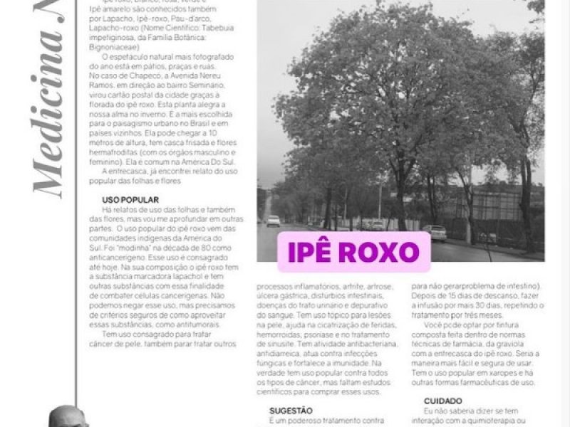 Ipê roxo