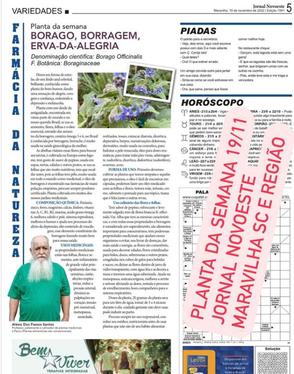 Você está visualizando atualmente Borago