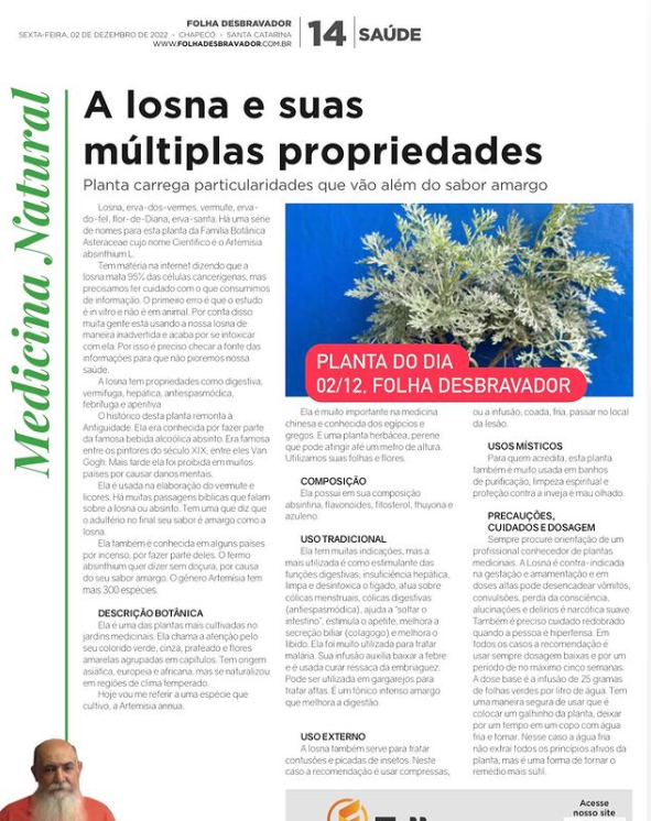 Você está visualizando atualmente Losna