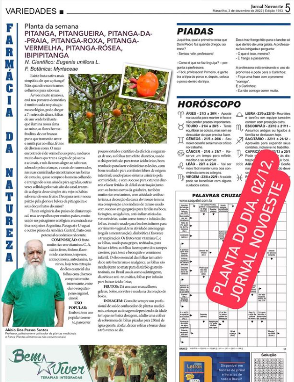 Você está visualizando atualmente Pitanga