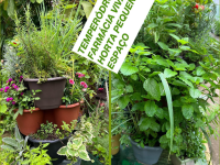 Horta espaço pequeno