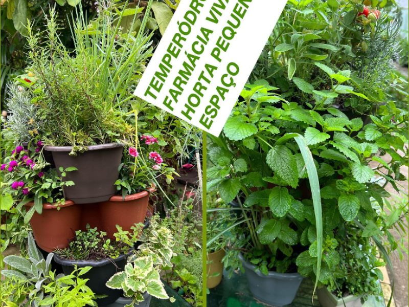 Horta espaço pequeno