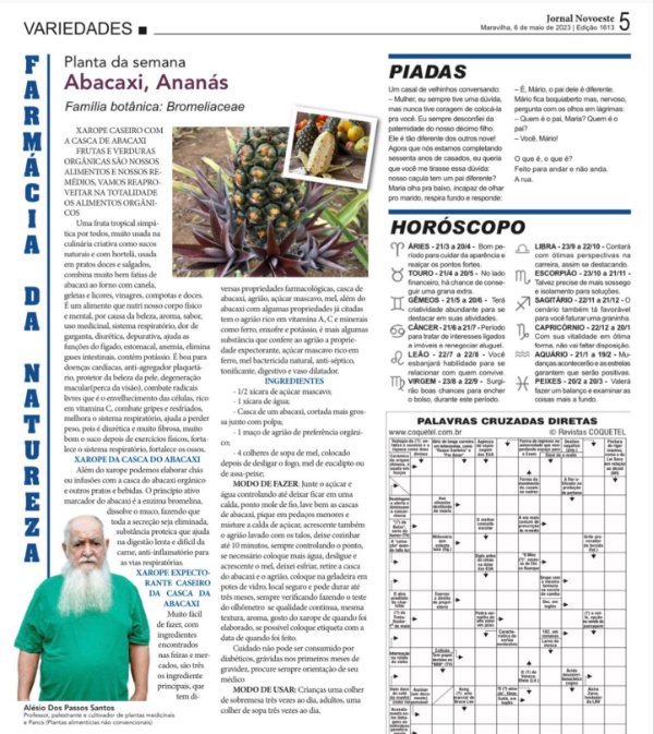Você está visualizando atualmente Abacaxi, Ananás