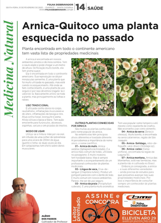 Você está visualizando atualmente Arnica-Quitoco e outras plantas conhecidas como Arnica
