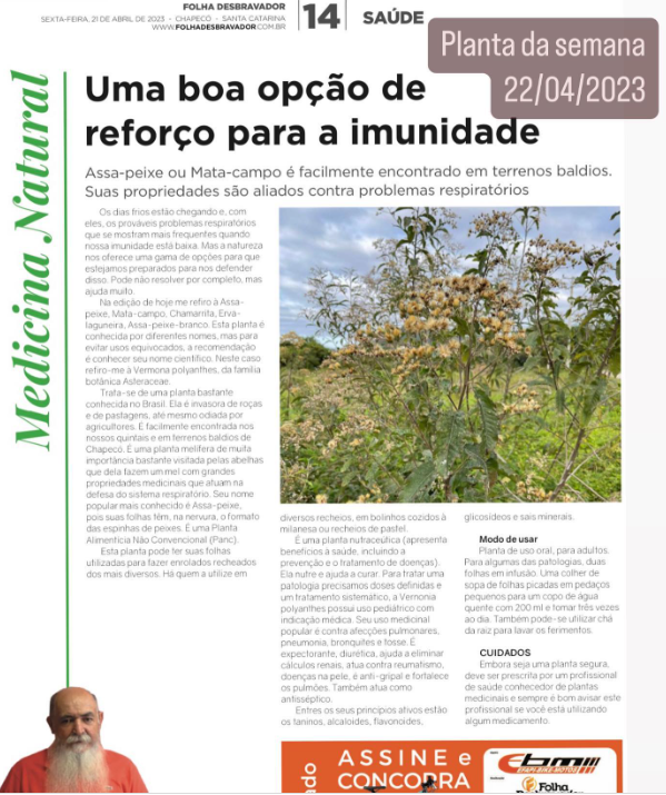 No momento, você está visualizando Assa-peixe, Mata-campo