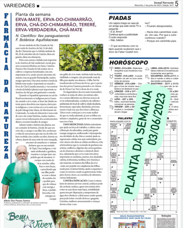 Você está visualizando atualmente Erva-Mate