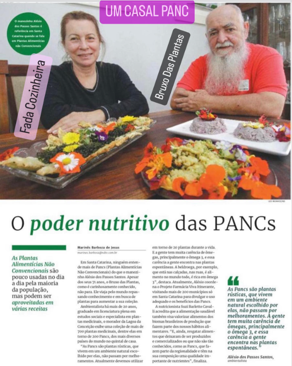 Você está visualizando atualmente O poder nutritivo das PANCs